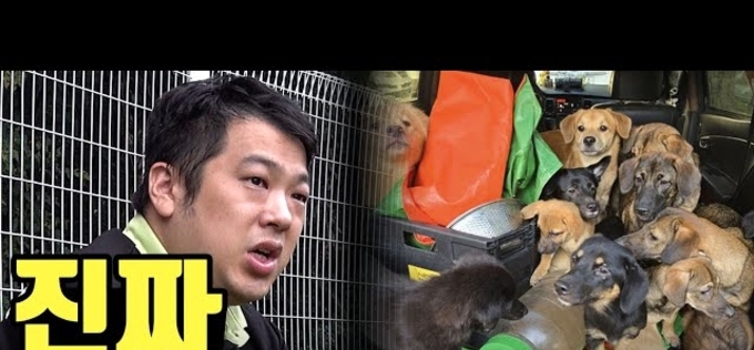 카라큘라 애니멀 레스큐, 강원도에 유기견 임시보호소 완공…입양 캠페인 지속