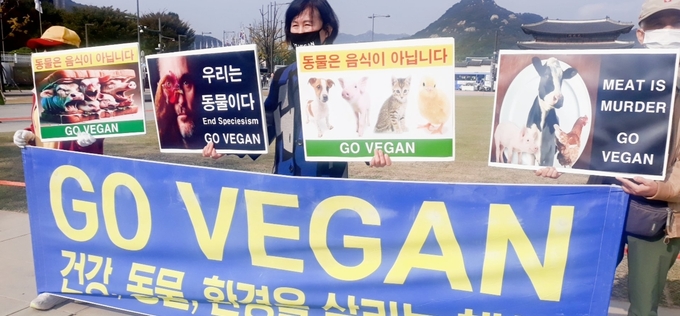 세계 비건의 날 앞두고 비건 시민단체 “건강·동물·지구를 살리는 채식 실천하자”