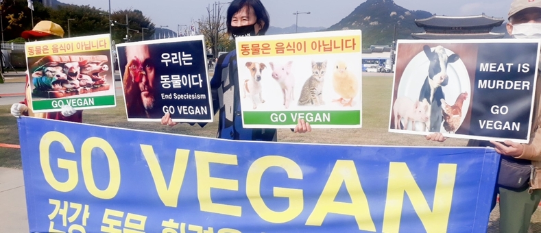 세계 비건의 날 앞두고 비건 시민단체 “건강·동물·지구를 살리는 채식 실천하자”