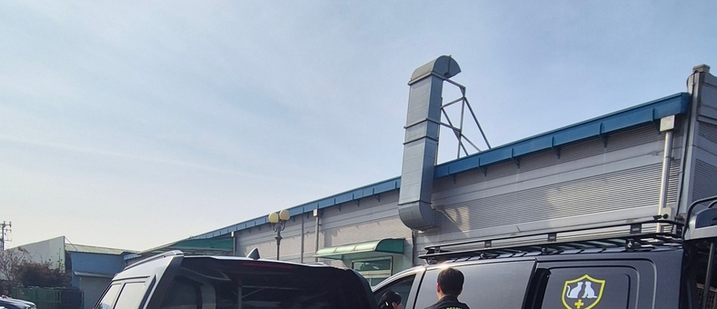 유기견 11마리 중성화…카라큘라 애니멀 레스큐, 의료진과 협업