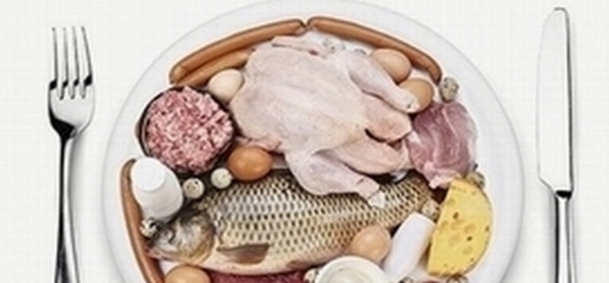 “고기는 폭력이다”…동물권단체, 비건 채식 촉구 기자회견 개최