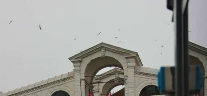 이탈리아 도심 수로 곳곳 녹색으로 물들인 환경단체 시위 확산…당국·시민사회 반응 엇갈려