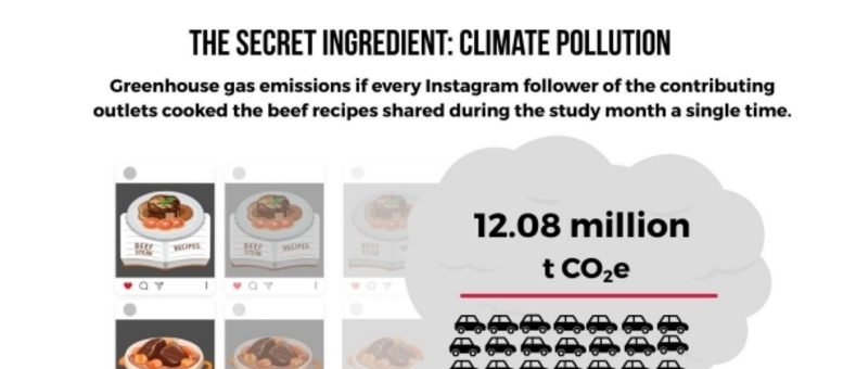 주요 음식 플랫폼, 소셜미디어 소고기 레시피로 ‘기후 재앙’ 부추겨