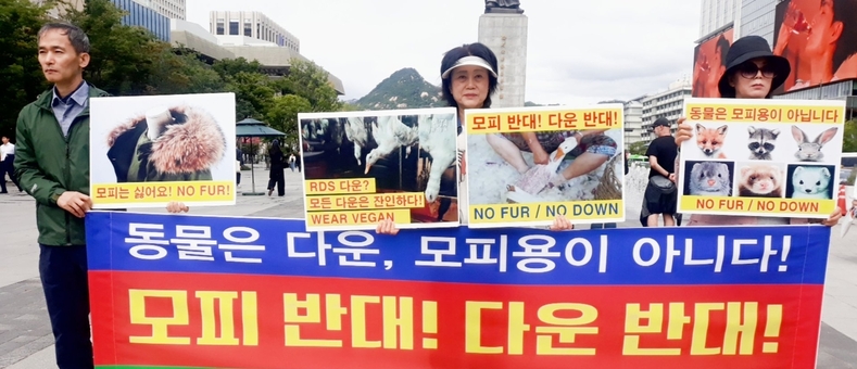 동물보호·비건단체, “오리털·거위털 말고 비건을 입으세요”…다운 제품 소비 중단 촉구