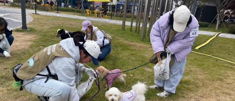 경기 반려마루, 강아지·고양이 입양부터 재난 시 보호까지