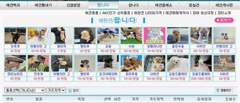 [단독] 한국동물보호연합, 국회에 반려동물 인터넷 광고 금지 요청