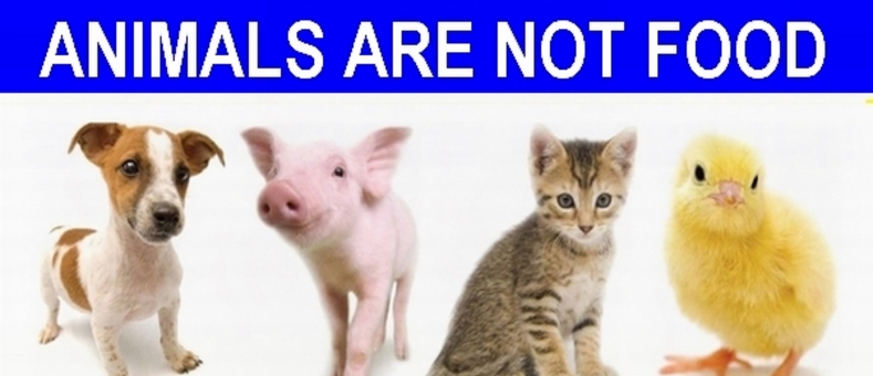 동물·채식 단체, 비건 채식 실천 촉구 성명