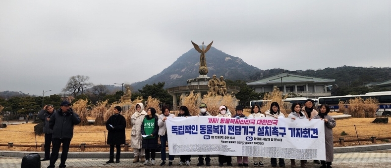 제주 동물권 단체, 동물복지 행정 이해충돌 구조 지적…독립 전담기구 촉구
