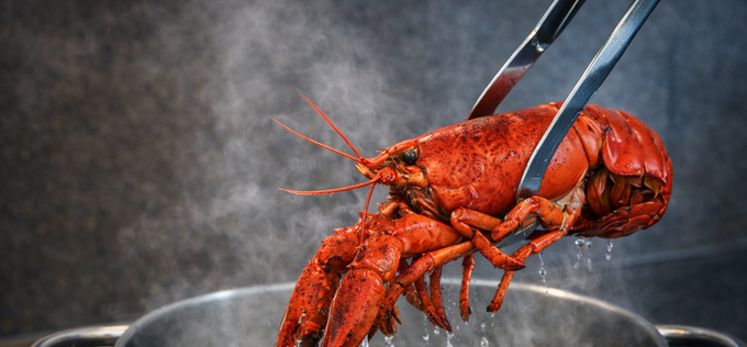 살아있는 동물 요리 중단과 비건 채식 촉구 성명