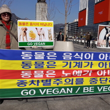 동물은 음식 아니다…비건 채식 촉구 기자회견 열려