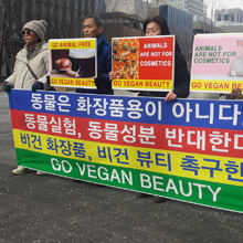 동물·비건 단체, 비건 화장품·비건 뷰티 촉구 기자회견
