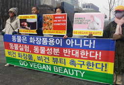 동물·비건 단체, 비건 화장품·비건 뷰티 촉구 기자회견