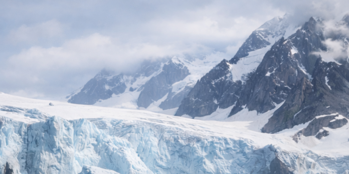 기후위기 ‘마지막 기회 관광’ 확산, 생태관광 이름의 그린워싱 경계