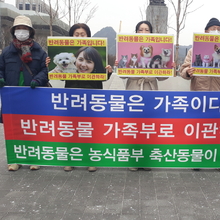 반려동물 가족부 이관 촉구 기자회견 열려…“반려동물은 가족, 축산 행정과 분리해야”