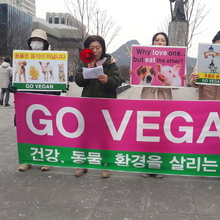 비건 채식 실천 촉구 기자회견 개최