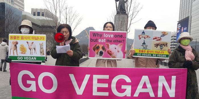 비건 채식 실천 촉구 기자회견 개최