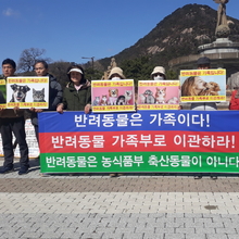 한국동물보호연합, 반려동물 가족부 이관 촉구 기자회견 개최