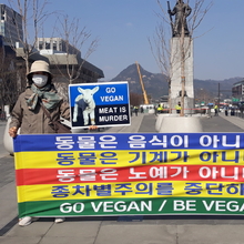 동물·비건 단체 “동물은 음식 아니다” 비건 채식 촉구 기자회견
