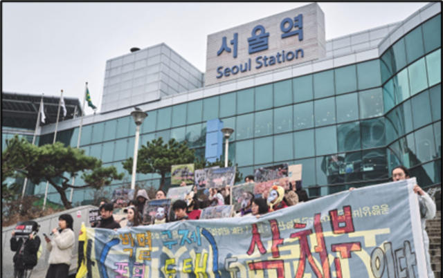 살처분 재연 퍼포먼스 진행…동물단체 정책 문제 제기