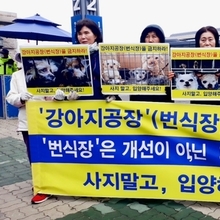 강아지 공장 폐지 촉구 성명 발표