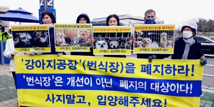 강아지 공장 폐지 촉구 성명 발표