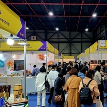 비건 시장, 소비 넘어 산업 단계 진입…유통·정책 재편 가속