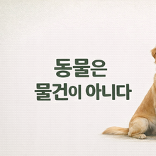 동물단체, 민법 개정 추진 환영…“동물은 물건 아니다”