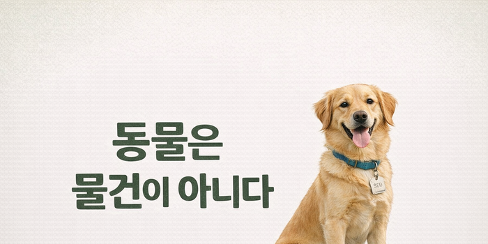 동물단체, 민법 개정 추진 환영…“동물은 물건 아니다”