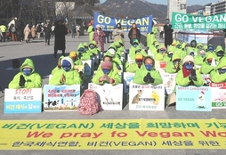 채식단체들, ‘K비건 대한민국’ 조성 촉구