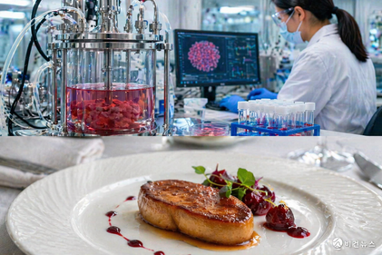 싱가포르, 파리마 배양오리 판매 승인…두 종 허가 첫 사례