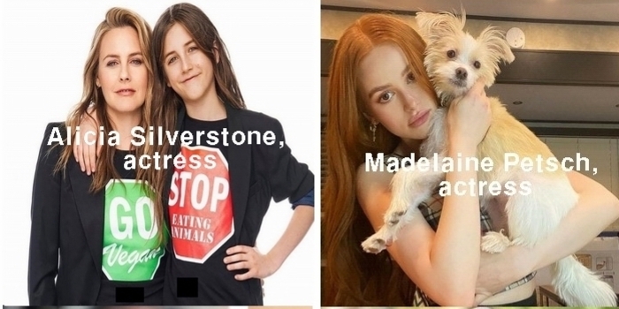 세계 유명인 20명 비건 채식인 소개