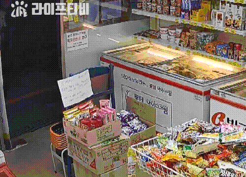 동물보호단체, 무인점포 강아지 유기男 고발...‘크림이’ 진짜 가족 찾아요