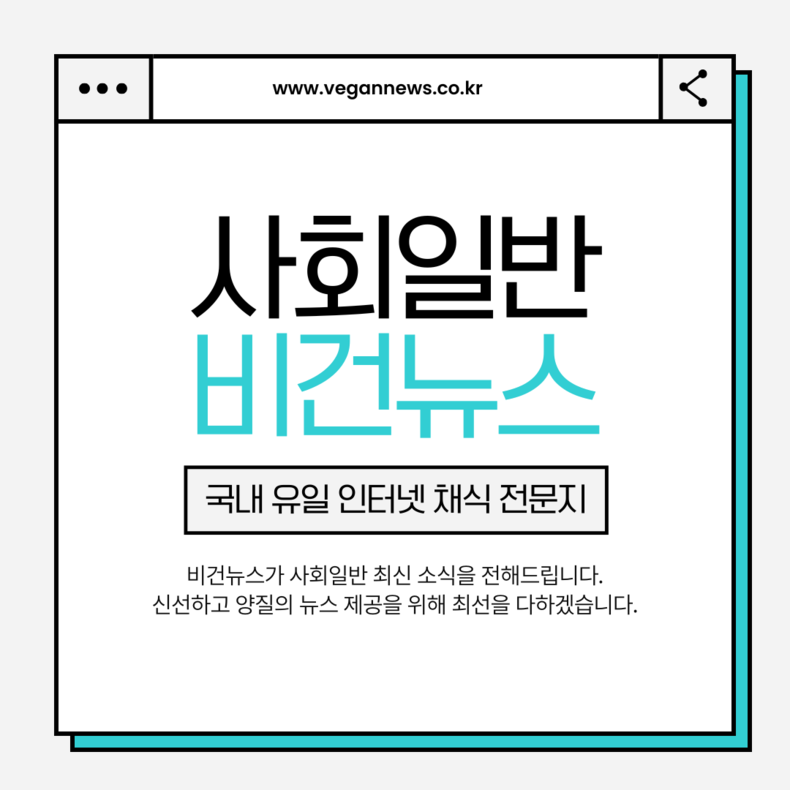 송파 세 모녀 비극 11주기, 복지 사각지대 여전