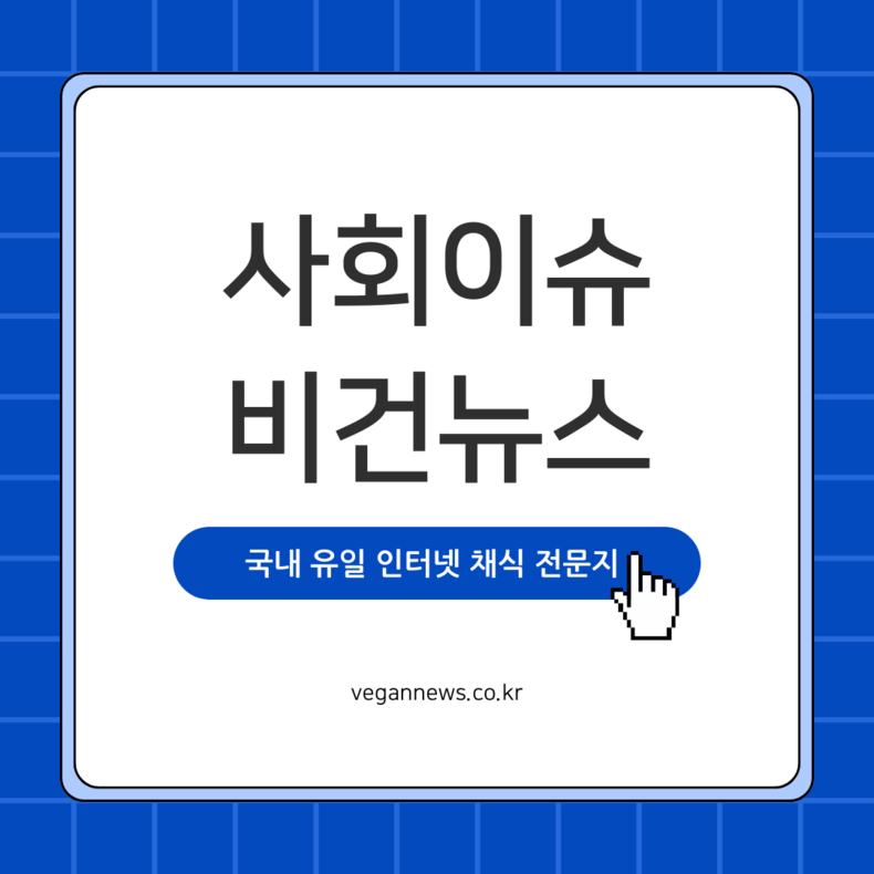 2025 제주들불축제, 악천후로 2·3일차 일정 전면 취소