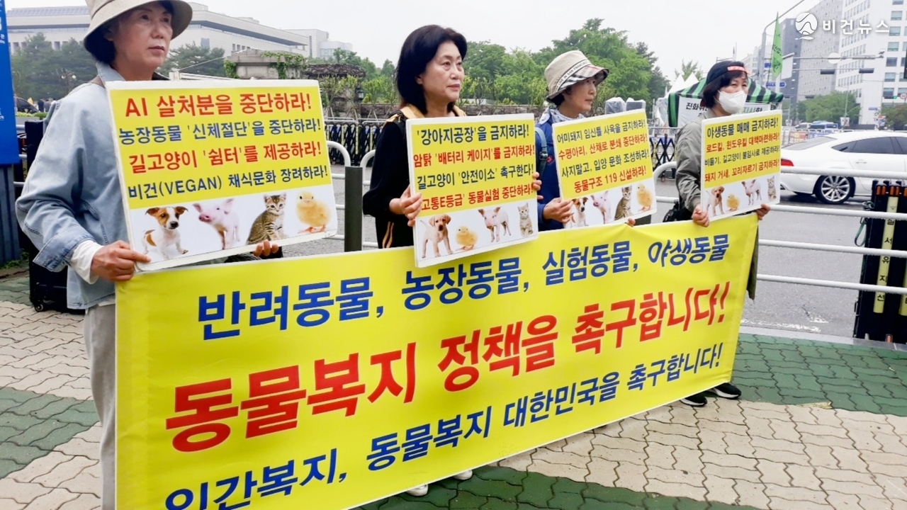 (사진=한국동물보호연합 제공)
