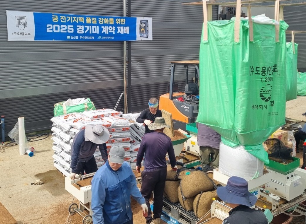 ‘궁 잔기지떡’에 사용할 경기미가 화성시 궁평미곡처리장에서 계약재배를 거쳐 선별·포장되고 있다. (사진=대령숙수 제공)