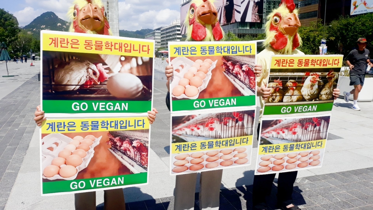 (사진=한국채식연합 제공)