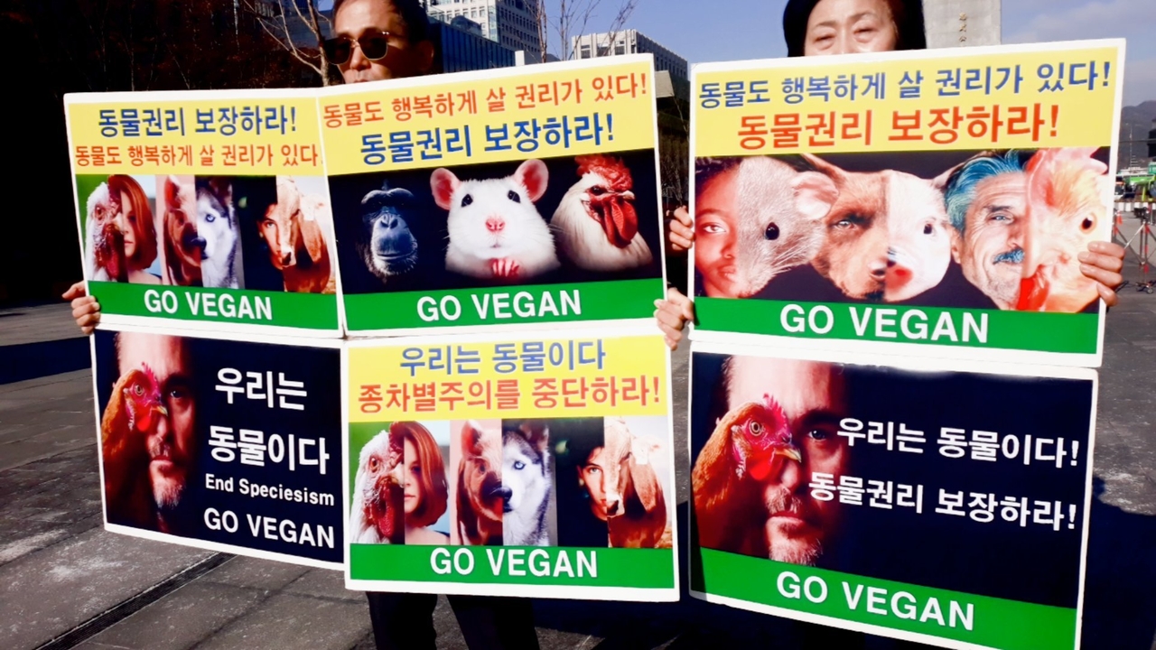 (사진=한국동물보호연합 제공)