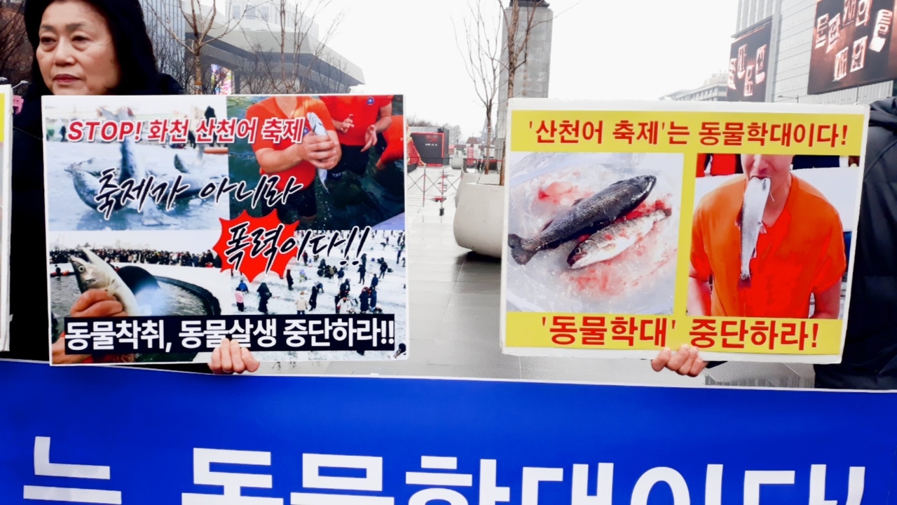 (사진=한국동물보호연합 제공)