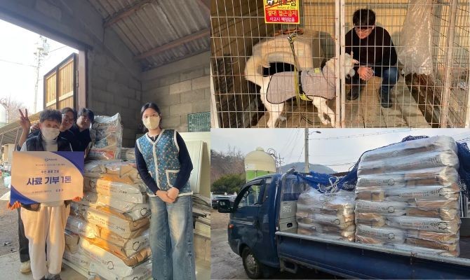 루다큐어, 유기묘 사료 1톤 기부...현장 수요 반영 - 뉴스 썸네일 이미지