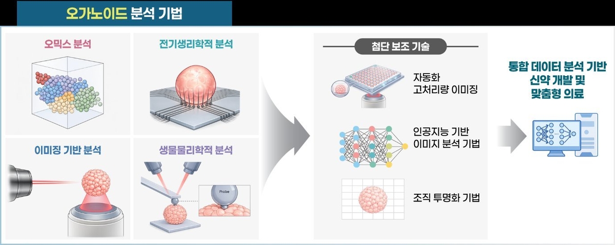 세라트젠, 네이처 리뷰 바이오엔지니어링 오가노이드 논문 게재 - 뉴스 썸네일 이미지