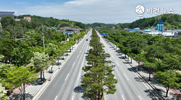 영주시, 녹색도시 위한 가로수 정비