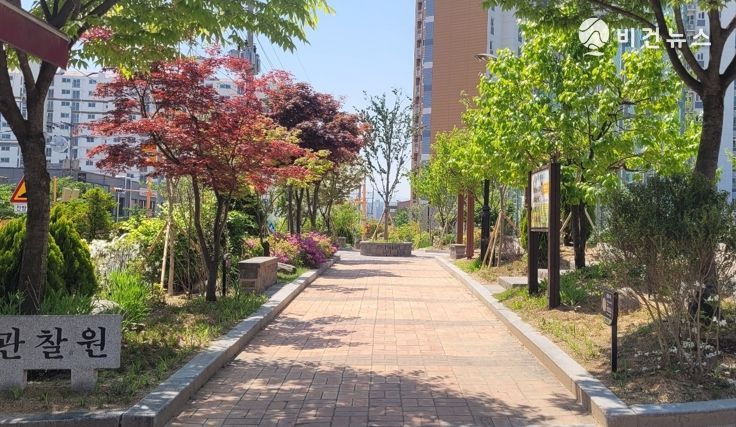 동명초 학교 숲 조성 사진