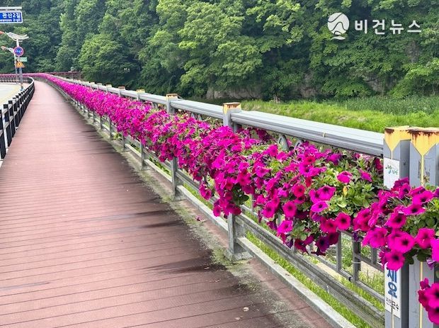 진안군, 진안천변 및 시장교 난간 꽃길 조성