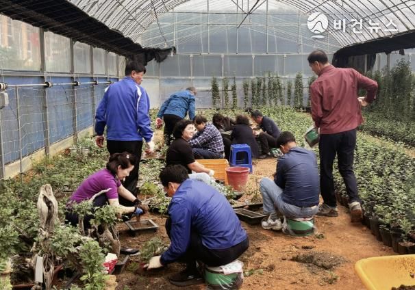 서산국화축제추진위원회가 제25회 서산국화축제를 준비하는 모습