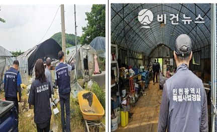 관련 사진 (단속 참고 사진)