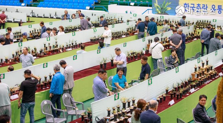 선물용 합천춘란 홍보전시, 농특산물 홍보 판매