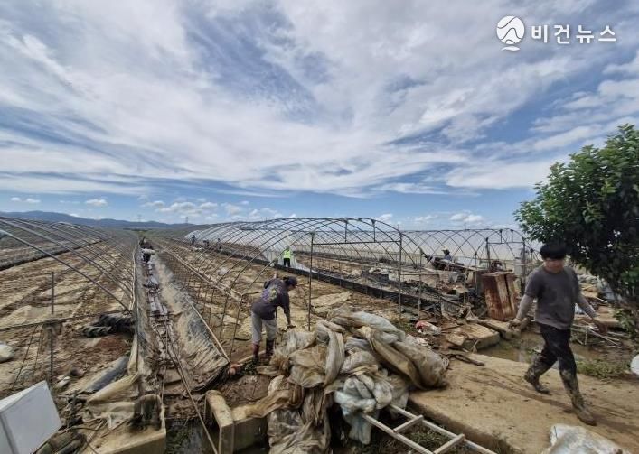 민원봉사과 직원들이 수해 지역에서 복구 지원 활동을 펼치는 모습