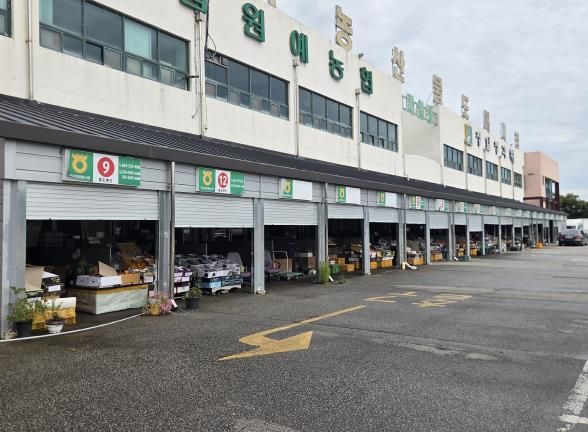 정읍 농산물도매시장, 10월 5~8일 경매 휴장… 중도매인 점포는 자율 운영