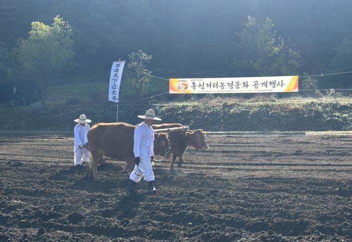 2025 홍천겨리농경문화 공개행사